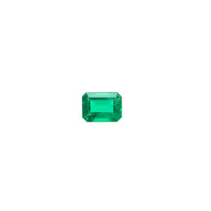 Zambian Emerald - S1010