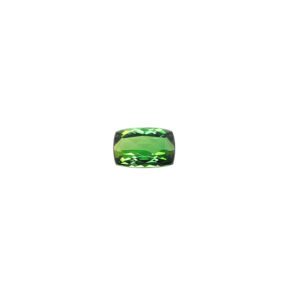 Green Tourmaline - S1713